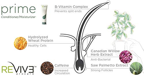 Revive Procare Prime Moisture & Hair Conditioner – Color Safe Conditioner For Healthy Scalp & Hair – Volumizing Hair Products To Reduce Breakage & Frizz – Hair Care Products For Women & Men (12 oz)