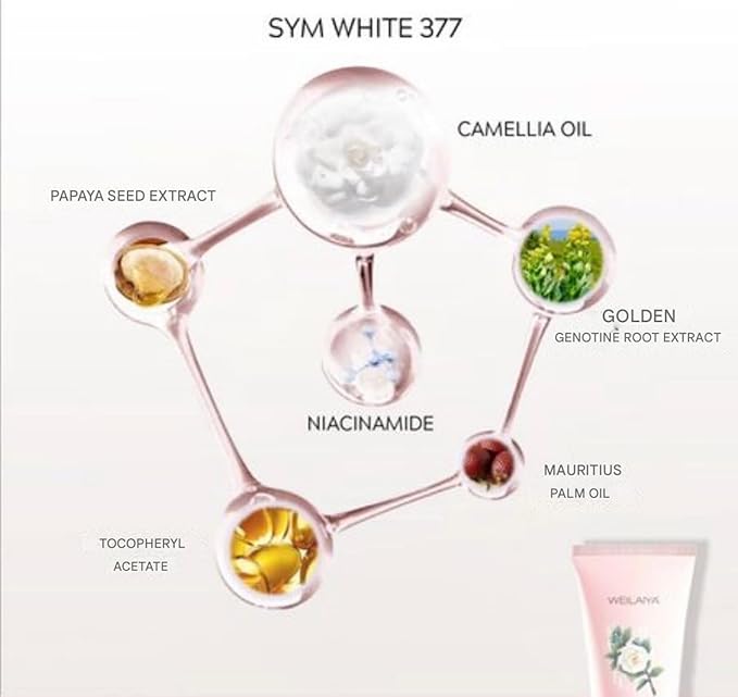 Camellia Flower Extract Face Body Cream Tone-Up SPF30 PA+++ & Niacinamine Fragrance Body Lotion Brightening, Anti Aging, Moisturing