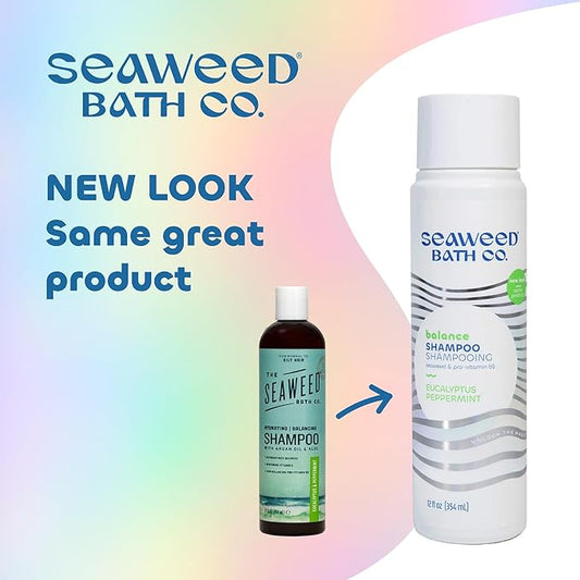 Seaweed Bath Co. Balance Shampoo, Eucalyptus Peppermint Scent, 12 Ounce, Sustainably Harvested Seaweed, Pro Vitamin B5, For Normal to Oily Hair