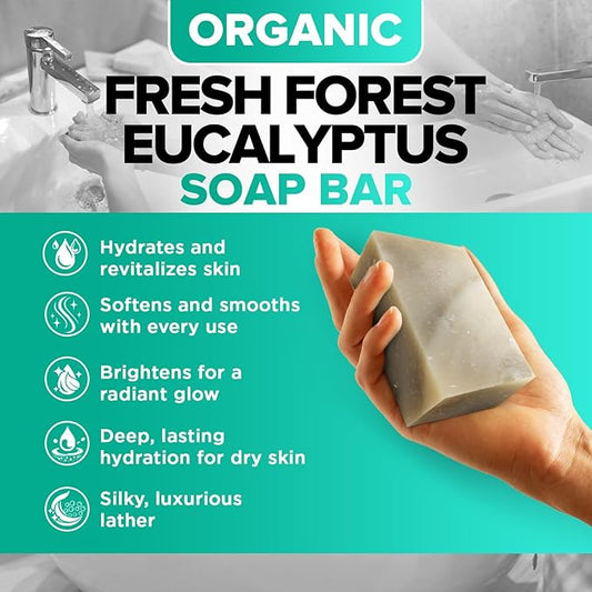 Fresh Forest Eucalyptus Soap Bar (2 Pack) with Spearmint for an Invigorating and Soothing Cleanse - Face & Body Wash - Infused with Shea Butter for Rich Creamy Lather & Long-Lasting Freshness