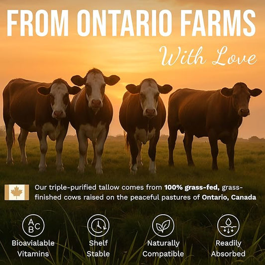 Grass-Fed Beef Tallow and Manuka Honey Balm, Eczema Face & Body Cream, Moisturizer for Dry Skin with Shea Butter, Almond & Jojoba Oil, Beeswax, Arrowroot, Vitamin E - Lemongrass - Made in Canada, 2 oz