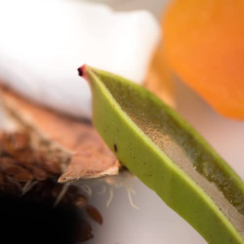 Red Flower French Lavender Softening Lotion – Deep Hydration & Skin Repair Body & Hand Lotion with Shea Butter & Olive Fruit Oil, Vegan, Sulfate-Free, 10 oz