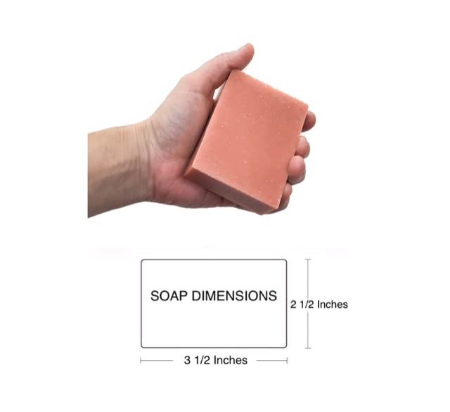 Aloe Vera & Oatmeal Soap Bar with Calamine, Natural & Organic Ingredients - Organic Aloe Vera & Colloidal Oats. Face & Body - for Men, Women & Teens. Gentle Body Wash. 4.5 oz Bar (Pack of 6)