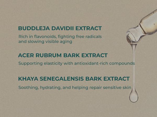 INNA Organic Rejuvenating Serum, Anti-aging, Wrinkle Care, Fine Lines & Tightening, EWG & COSMOS Certified | Frankincense Essential Oils Infused Skin Care | Luxury Clean Beauty