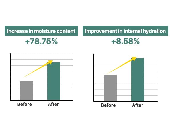 S. Nature AQUA SQUALANE MOISTURIZING CREAM | Face Moisturizer for Dry and Sensitive Skin, Vegetable Squalane 150,00ppm, Long-lasting Hydration, Pore Care Cream, Korean Skin Care (2.7 Fl Oz, 80ml)