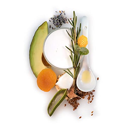 Red Flower French Lavender Softening Lotion – Deep Hydration & Skin Repair Body & Hand Lotion with Shea Butter & Olive Fruit Oil, Vegan, Sulfate-Free, 10 oz