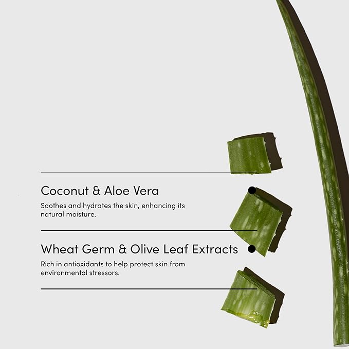 LATHER - Coconut Crème Natural Body Wash, 8 fl oz - Shower Gel Cleanser - Gentle Body Soap - Essential Oils - Coconut Oil, Aloe, Shea Butter - All Skin Types - Vegan, Cruelty Free - Beauty & Skincare