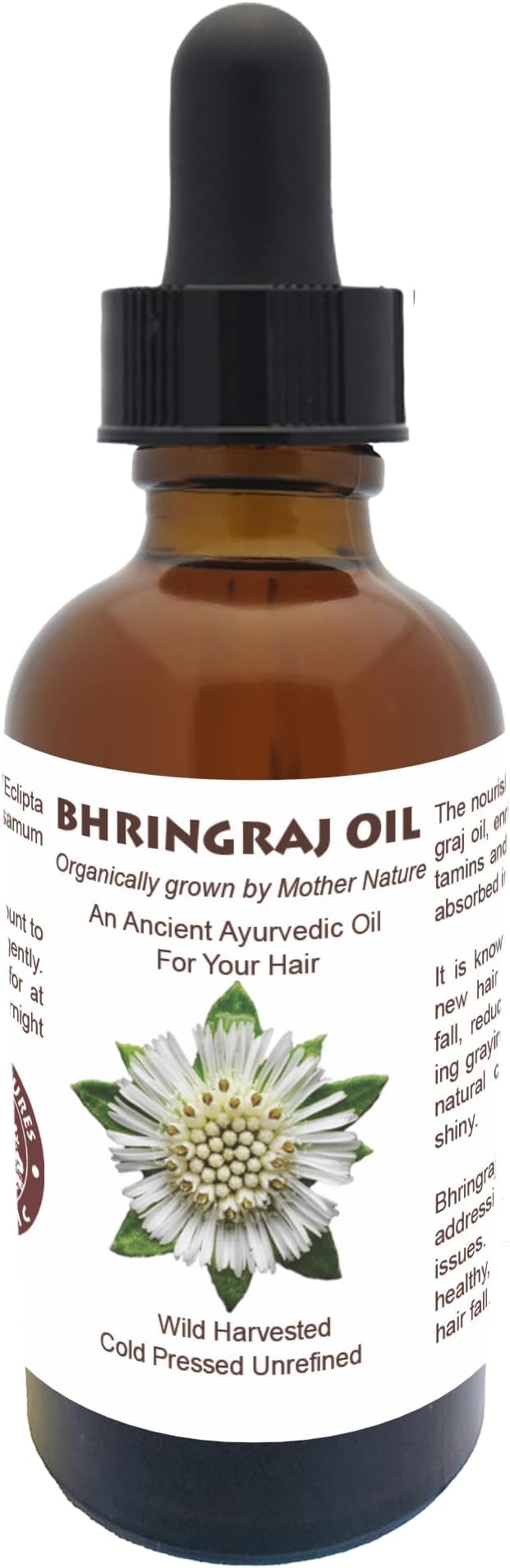 Best Nature's Bhringraj Oil – Pure Indian Eclipta Alba Oil for Hair Growth, Dandruff & Early Graying – Natural Scalp Cleanser – Hello Luminous, Shiny Hair – 2 fl oz