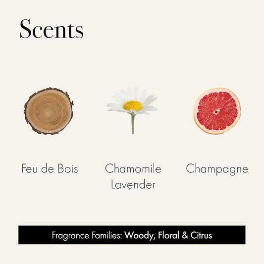 LAFCO New York Discovery Trio Best Sellers: Chamomile Lavender, Champagne & Feu de Bois - 3 Fragranced Candle Sample Tins - 4-Hour Burn Time Each - Made in The USA