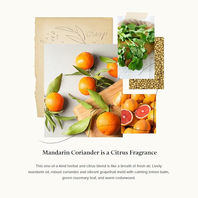 Thymes Moisturizing Hand Lotion for Dry Skin - Moisturizer for Beauty and Personal Care - Luxury Hand Lotion for Women & Men with Shea Butter & Aloe Vera (Mandarin Coriander, 9 fl oz)