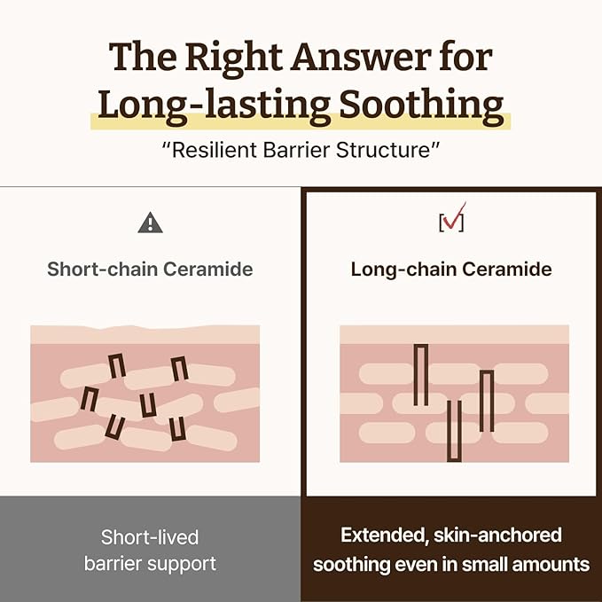 Dr. Reju-All Advanced LC-Ceramide Barrier Cream - Patented Long Chain Ceramide Deep Hydration - Lightweight Korean Face Moisturizer for Strengthening Skin Barrier - 1.69 Fl Oz