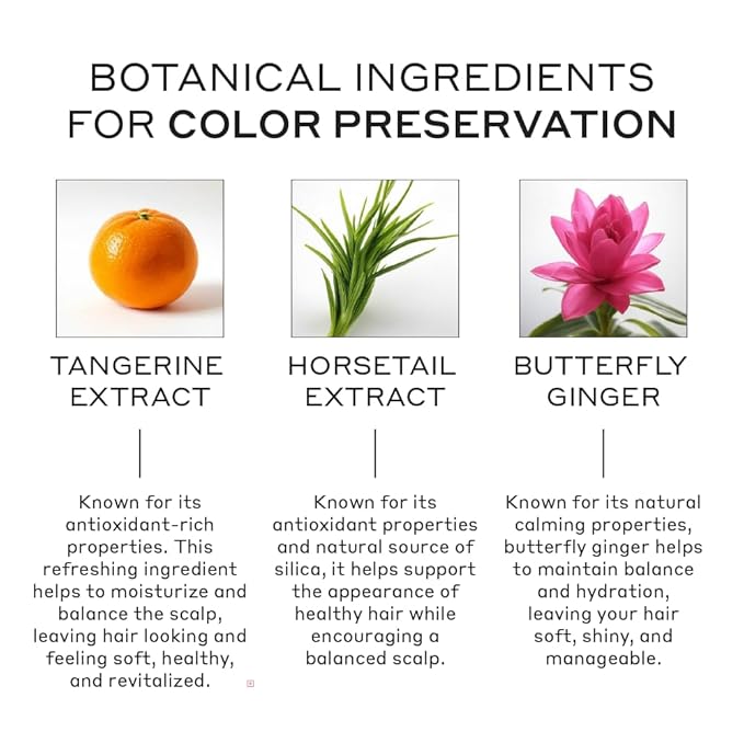 Zenagen Eclipse Color Preservation + Gray Support Conditioner | Enhances Hair Color Vibrancy, Reduces Gray Appearance, Nourishes & Strengthens Aging Hair, Plant-Based, Color-Safe, 16 oz