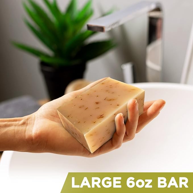 iHeart Fresh Soap Sage and Wild Herb - Long Lasting Rich Creamy Moisturizing Lather - Face & Body Wash for Men and Women - Large 6 Ounce