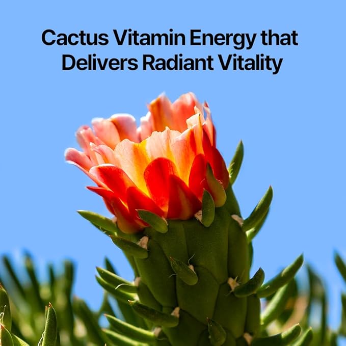 Pyunkang Yul PKY Dancheong Hand Cream, Gentle Hand Care, Natural Scents with Essential Oils, Inspired by Fade-Resistant Korean Dancheong, Zero Irritation, Korean Skincare (2.53 Fl. Oz, 75ml)