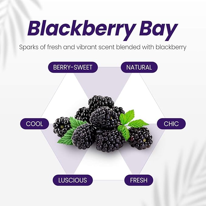 KUNDAL Honey&Macadamia Hydro-Intensive Moisture Premium Nature Hair Shampoo [Blackberry Bay] Sulfate Free, Macadamia Oil for Damaged Hiar care, Deep Clean & Hydration 1,000ml (300ml x2ea)