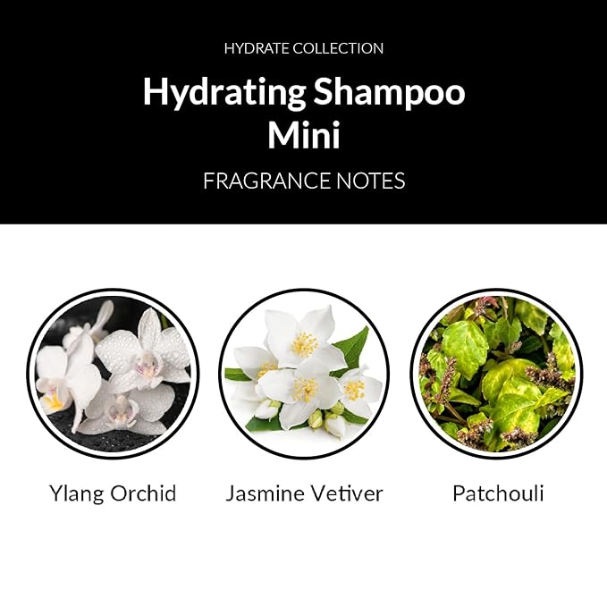 Number 4 Mini Hydrating Shampoo, Travel Size Shampoo for Women and Men. Sulfate, Gluten, & Paraben Free. Moisturizing & Color Protecting, 1.5 oz