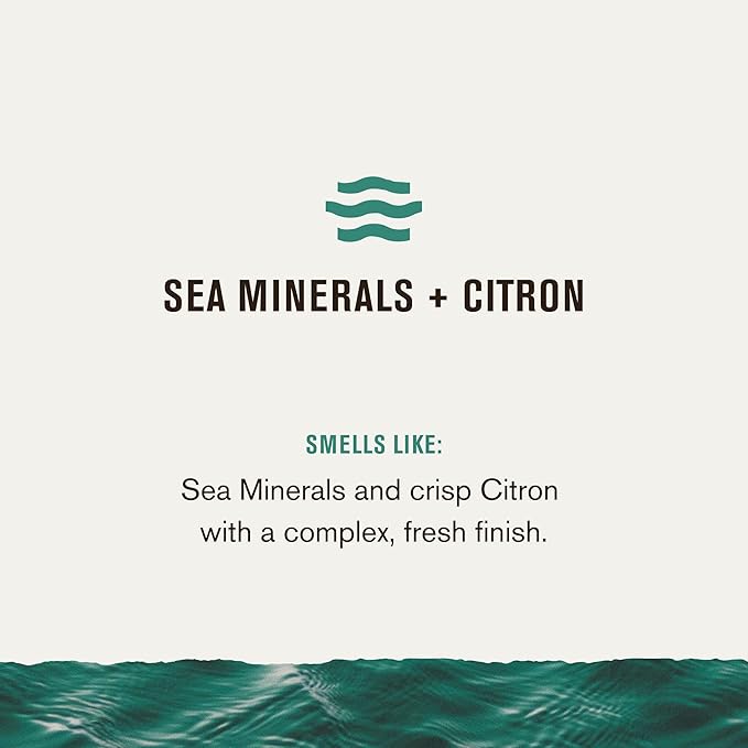 Every Man Jack Men’s Sea Minerals + Citron Bath and Body Gift Set - Clean Ingredients & Sea Minerals and Citron Scent - Round Out His Routine with Body Wash, 2-in-1 Shampoo, Deodorant & Face Wash