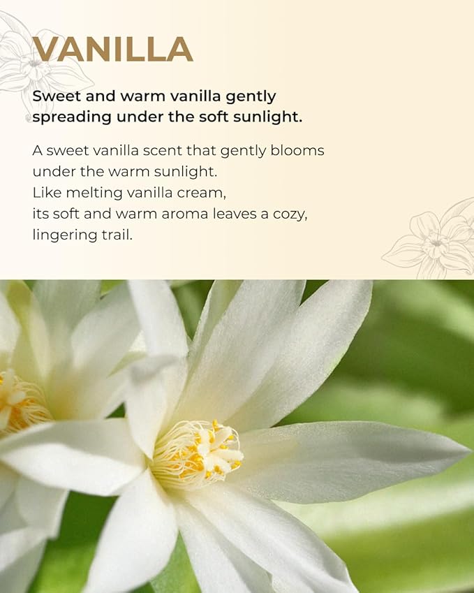 BOM Chiffon Vanilla Perfume Body Mist 3.71 Fl Oz, Vanilla Scented Fine Mist with Hyaluronic Acid, Niacinamide & Vitamin C, Hydrating, Lightweight Spray with Long-Lasting Fragrance, Korean Skincare