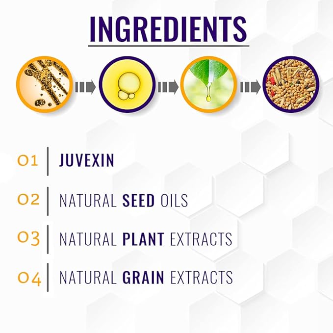 GK HAIR Global Keratin Silver Bombshell Purple Shampoo (9.5 Fl Oz/280ml) For Blonde, Platinum, Ash, Silver & Gray Hair Moisturizes Dry & Damaged Removes Yellow Brassy Tones