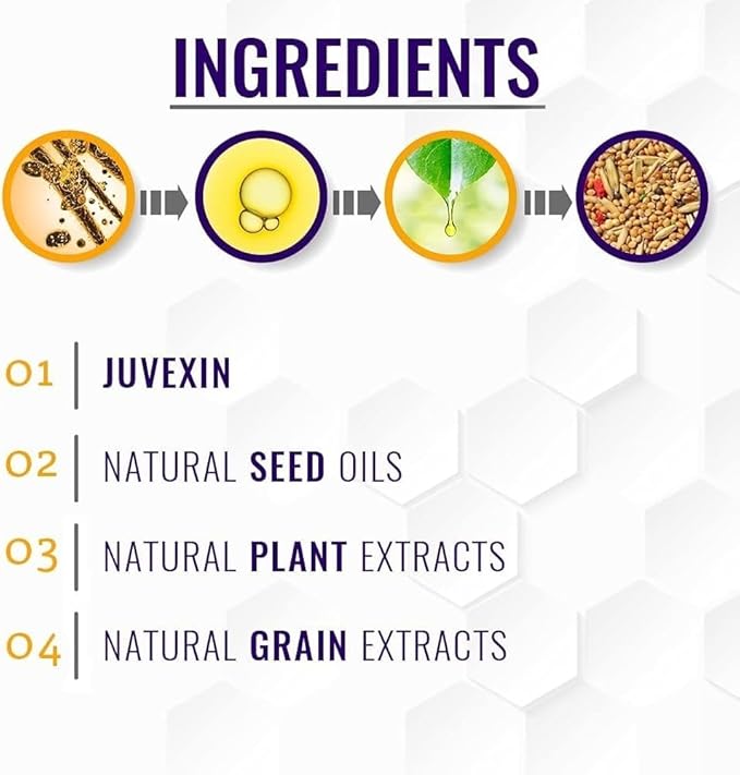 GK HAIR Global Keratin Silver Bombshell Purple Shampoo (24 Fl Oz/710ml) For Blonde, Platinum, Ash, Silver & Gray Hair Moisturizes Dry & Damaged Removes Yellow Brassy Tones