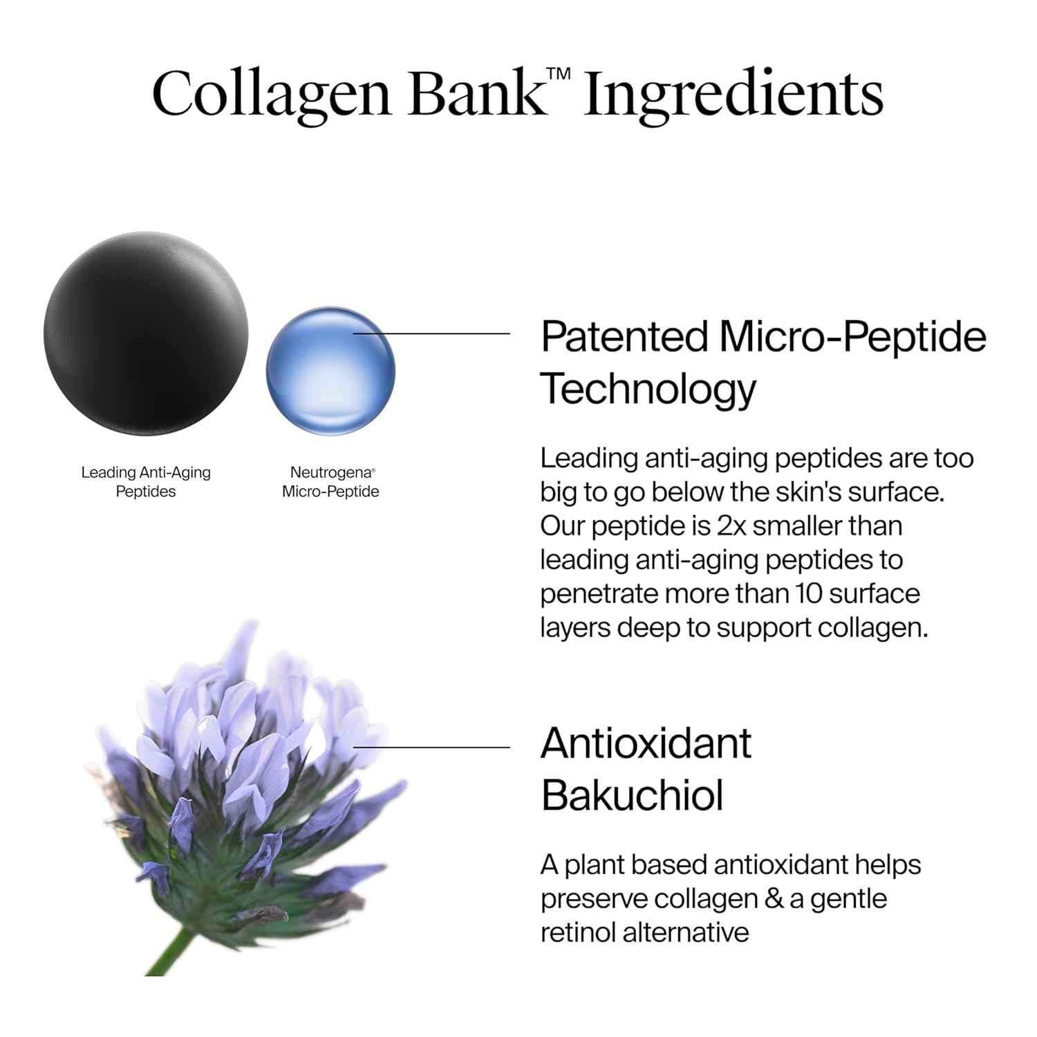 Collagen Bank™ Anti-Aging Face & Neck Cream with Bakuchiol | Daily Collagen-Boosting Moisturizer for Firm, Plump & Youthful Skin | Wrinkle Care Face Lotion | 2 Fl. Oz