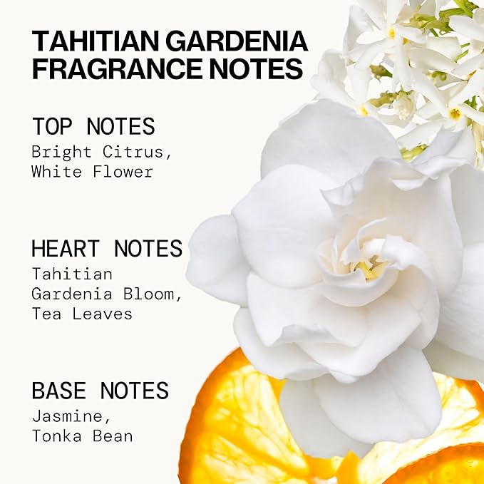 Pacifica Beauty Mini Fragrance Sampler, 3 Island Vanilla Scents - Hair Perfume & Body Spray Gift Set, Vegan & Cruelty Free