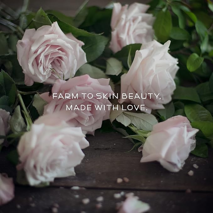 Farmstead Apothecary 100% Natural Anti-Aging Face Cream with Jojoba Oil, 4 oz (Rose Water)