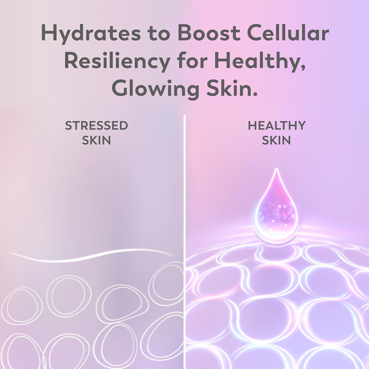 Super Serum with Niacinamide, Vitamin C & E, Collagen Peptide & AHA – 5-in-1 Anti-Aging Serum for Brightening, Hydrating, Smoothing, Firming & Even Skin Tone, 1.7 oz