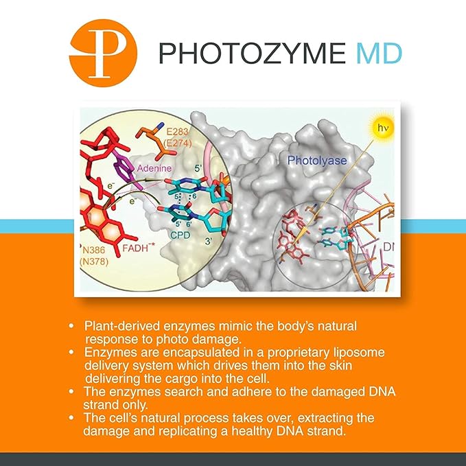 Photozyme DNA Repair Anti Aging Body Lotion Complex with DNA Enzymes + Omega 3 + 6 | Moisturizing, Hydrating, + Nourishing Skin Cream to Repair Sun Damage | Fragrance Free, Unscented | 8 Fl. Oz
