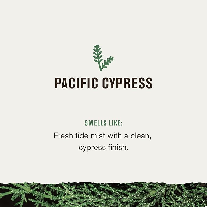 Every Man Jack Men’s Pacific Cypress Bath and Body Gift Set - Clean Ingredients & Conifer Branches, Sea Salt, and Citrus Scent - Body Wash, 2-in-1 Shampoo, Deodorant & Face Wash