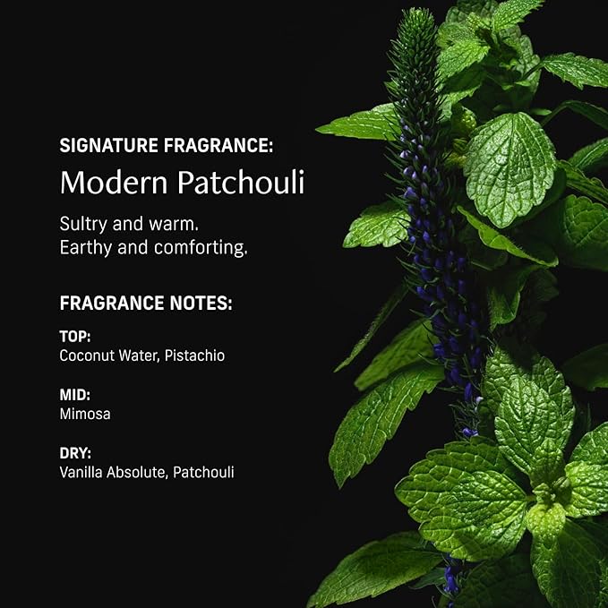 Perfume Oil Roll-On. Travel-Friendly Modern Patchouli Fragrance with Bergamot, Verbena, and Cashmere. Long-Lasting Essential Oil Parfum for Women and Men. 0.5 Fl Oz Scented Rollerball Bottle