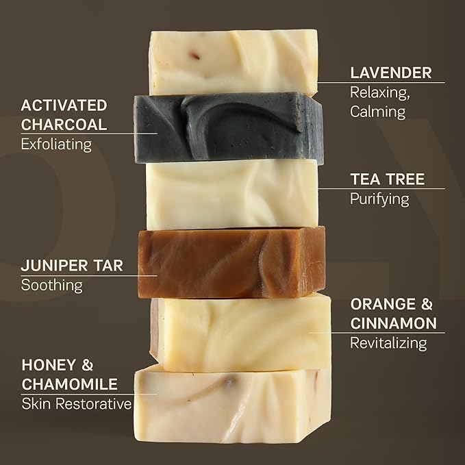 AUTHENTIC BATH & SOAP Natural Bar Soap Set for Oily Skin – Handmade, Acne Oil Control, Odor-Fighting (6-Pack): Tea Tree, Pine Tar, Orange & Cinnamon, Lavender, Activated Charcoal, Honey & Chamomile