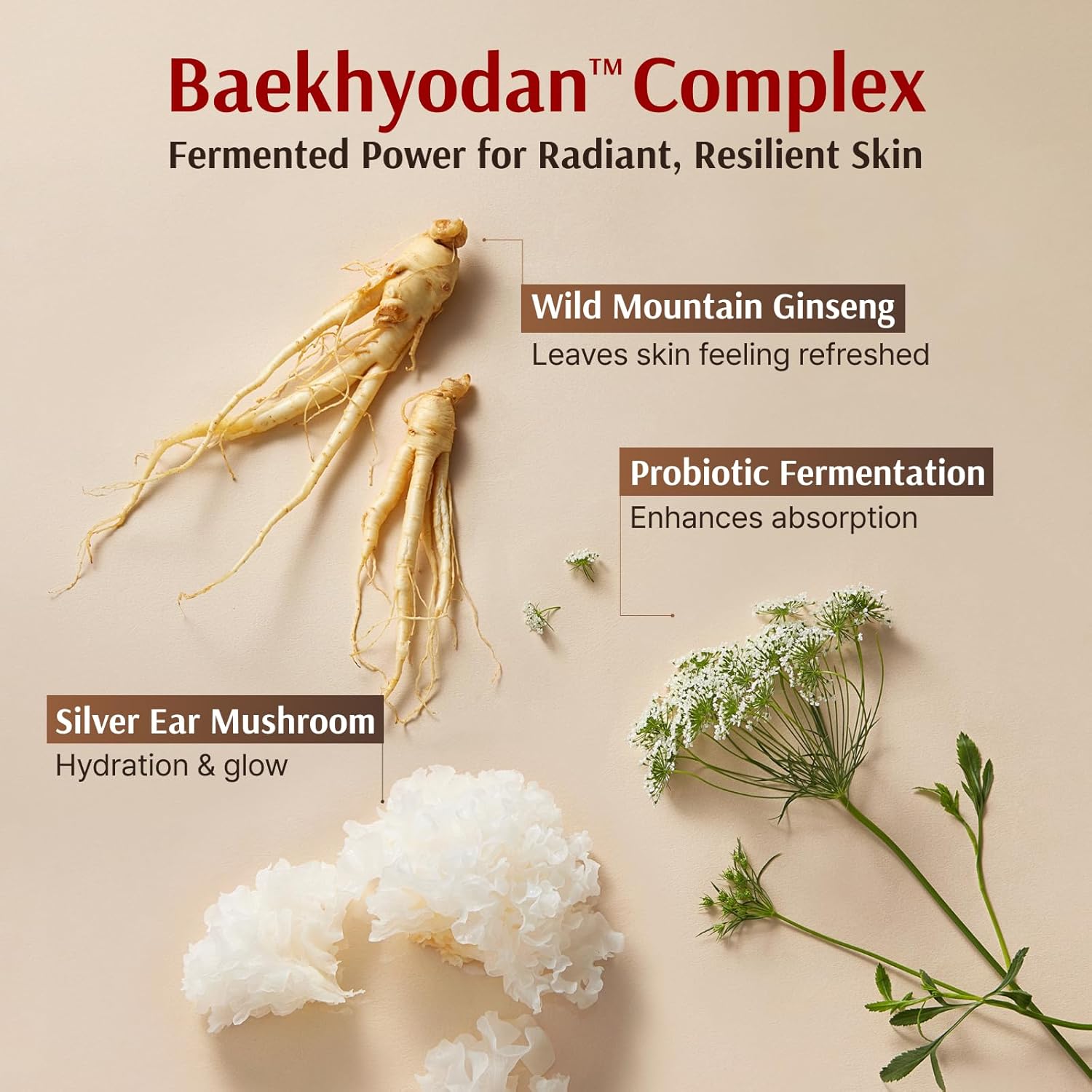 Korean Ginseng Skincare Gift Set – Hyobidam Hydrating & Firming Facial Set with Wild Ginseng, 13.53 fl oz