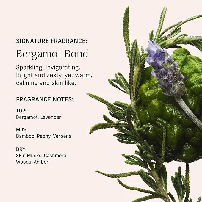 Perfume Oil Roll-On. Travel-Friendly Bergamot Bond Fragrance With Bergamot, Verbena, and Cashmere. Long-Lasting Essential Oil Parfum For Women and Men. 0.5 Fl Oz Scented Rollerball Bottle