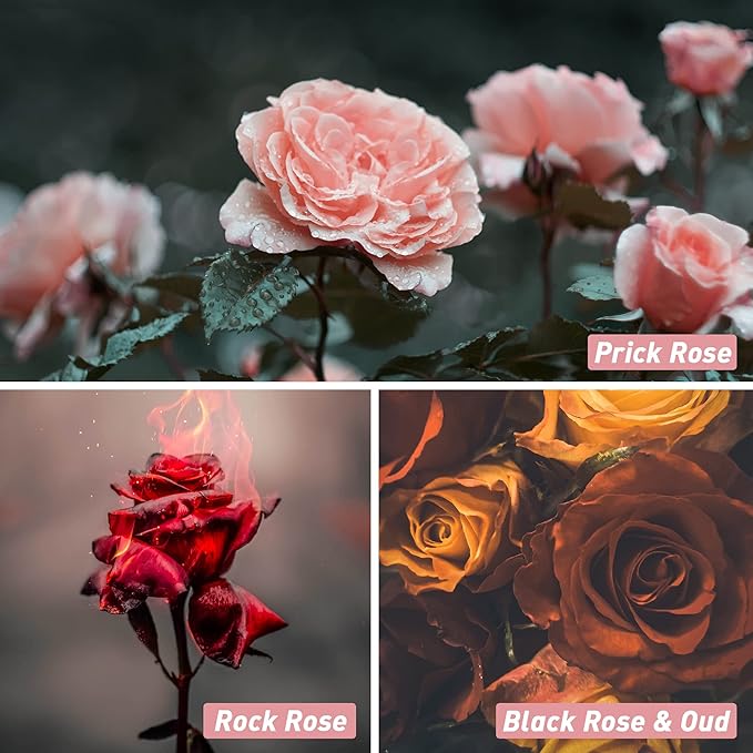 Rose Fragrance Oil, ESSLUX Premium Floral Scented Oils for Diffuser, Soap Candle Making Scents, Rose Essential Oils Gift Set for Home Fragrance - Bulgarian Rose, Black Rose & Oud, Rock Rose and More