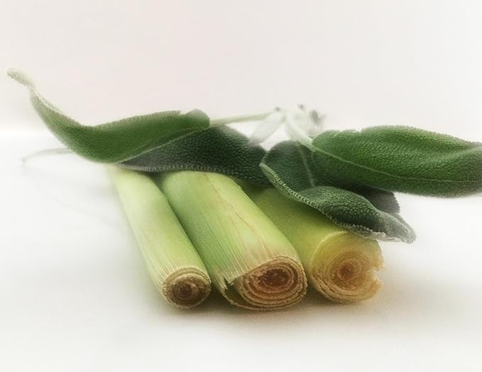 Lemongrass & Sage Hand & Body Lotion for Dry Skin – Infused with Natural-Organic Shea Butter & Acai Fruit Oil (8oz)