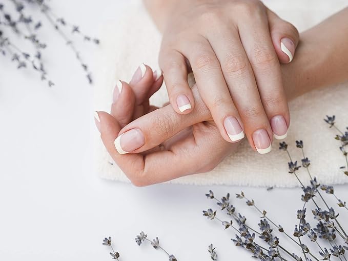 Barefoot Venus Macadamia Nut Oil and Almond Oil Body Cream 225 ML / 8 Oz (Coconut Kiss)