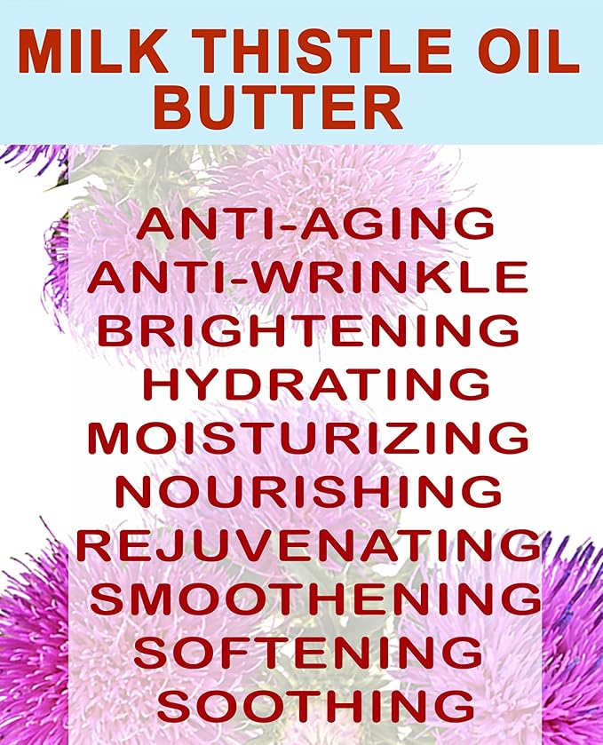 Botanical Beauty MILK THISTLE OIL BUTTER Silybum marianum 100% Natural for FACE, SKIN, BODY, HAIR, NAILS, Foot Care. Foot Oil butter, Skin Moisturizer (16 Fl Oz)