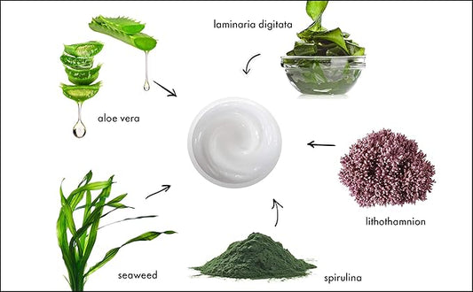 Raya Ultra-Light Seaweed Cream (304) | Anti-Aging Moisturizer for Oily, Break-Out Skin | Hydrating Face Cream Reduces Fine Lines, Wrinkles | Best Facial Moisturizer for Dry, Aging Skin | Controls Oil