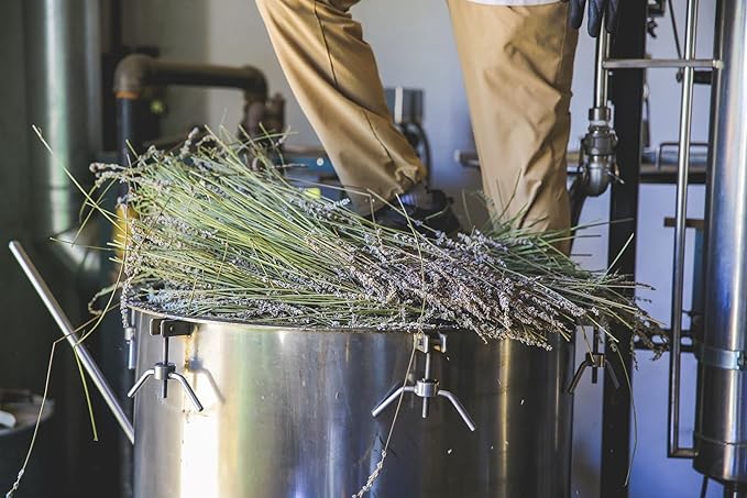 Hydrosol - Certified 100% Pure Organic Lavender Floral Water Hydrosol, Facial Toner, Aromatherapy, Skincare Set, Body Mist, Room & Linen Spray - Made in USA - 8 oz